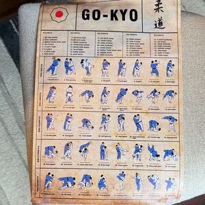 Judo Technique Chart Poster NWOT
